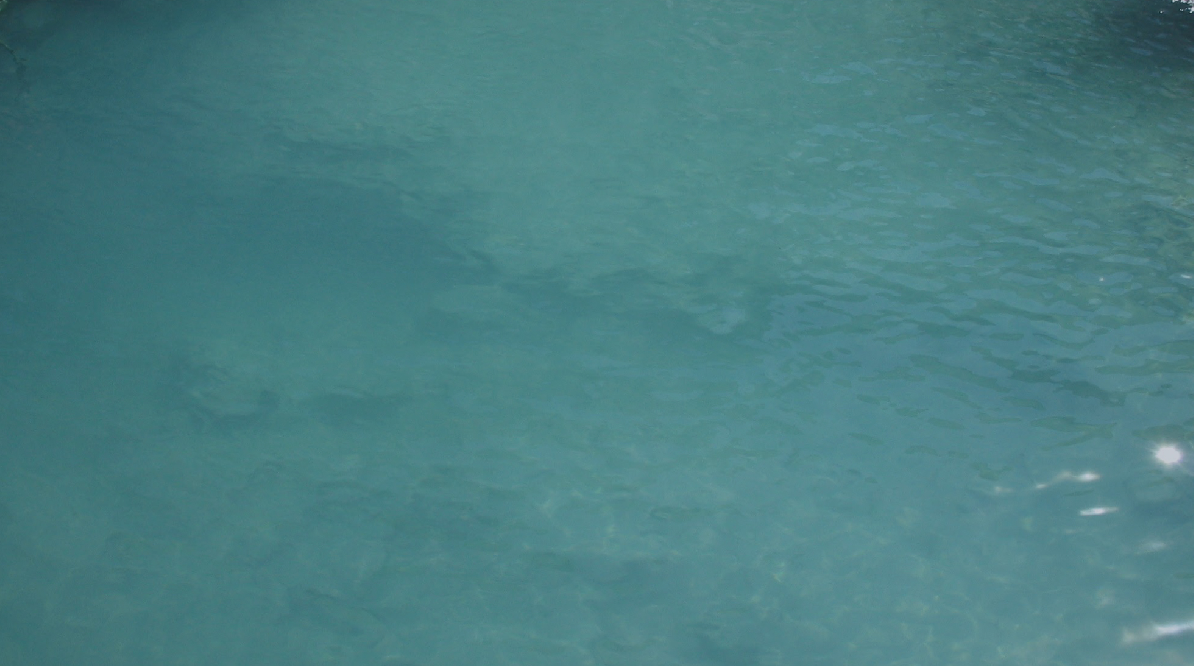 癒しの里 観布亭